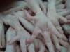 Frozen Chicken feet and Paws for sale